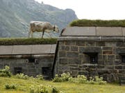 Früher ein Bunker der Armee, heute ein Museum und Bummelplatz für Kühe: Anlage auf dem Gotthardpass. Zahlreiche Bunker haben ein neues Leben erhalten. (Archivbild) (Bild: KEYSTONE/URS FLUEELER)