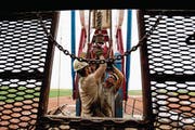 Zwei Männer arbeiten an einem Ölturm in Williston im US-Bundesstaat North Dakota. (Bild: Gregory Bull/Keystone (Williston, 26. Juli 2011))