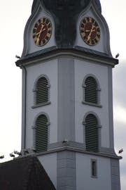 Störche ruhen sich auf der Kirche in Sempach aus (Bild: Leserbild Martin Küttel (21. August 2017))