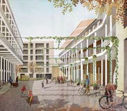 So soll die Teiggi-Siedlung in eineinhalb Jahren aussehen. Visualisierung: Lukas Murer/Raumfalter Architekten, Zürich