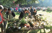 Die jährliche Pilzausstellung beim Horbach auf dem Zugerberg ist bei den Besuchern beliebt. (Bild: Charly Keiser (24. September 2017))