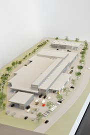 Das geplante Nutzfahrzeugcenter in Buchrain in einem 3D-Modell. (Bild: Visualisierung: PD)