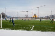 Die 1. Mannschaft des FC Luzern auf dem im Oktober 2009 freigegebenen Kunstrasen östlich der Horwerstrasse beim Trainingsstart im Januar. (Bild: Roger Grütter/Neue LZ)