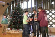 Es werde Licht: Schüler der HPS Willisau schalten zusammen mit CKW-CEO Felix Graf die Weihnachtsbeleuchtung ein. Auf dem Dach des Schulhauses in Willisau wird seit Dezember 2015 Solarstrom produziert. (Bild: PD)