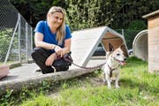 Petra Roos, Betriebsleiterin im Tierheim an der Ron, mit der 10-jährigen Jack-Russel-Hündin Lady. (Bild Manuela Jans-Koch)