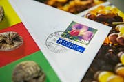 «6000 Luzern» – diesen Stempel gibts am Postschalter nur noch auf Wunsch. (Neue LZ/Dominik Wunderli) Fotografiert am 20.05.2016 Themenbilder Briefe Post Briefmarke (Bild: Dominik Wunderli (Neue LZ) (Neue Luzerner Zeitung))