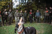 Auch sie muss sich an einem neuen Gesetz orientieren: die Jagdgesellschaft Kriens-Grüebli. (Bild: Nadia Schärli (Kriens, 20. Oktober 2017))