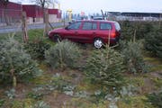 Das Auto stoppte erst in der Christbaumkultur. (Bild: Luzerner Polizei (Aesch, 31. Januar 2018))