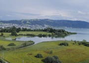 Das Naturschutzgebiet Sumpf am Ufer des Zugerses. (Archivbild: Stefan Kaiser/ZZ)
