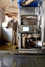 Melken mit dem Roboter: Auf dem Bauernhof von Patrick Egli in Geuensee ist das seit einigen Jahren Realität. (Bild Nadia Schärli)