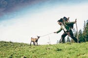 «Ich verlange von niemandem, dass er meine Musik gut findet», sagt Marc Trauffer. Hier mit Geiss Fritzli. (Bild: Adrian Bretscher, Hangar Entertainment)