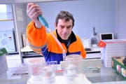 Klärmeister Andi Schumann kontrolliert in der ARA Altdorf die Wasserqualität. (Bild Angel Sanchez/Neue UZ)