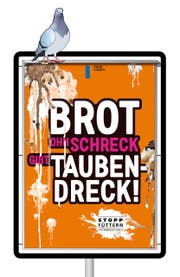 Mit diesem Plakat wird in der Stadt Luzern darauf aufmerksam gemacht, das Füttern von Tauben zu unterlassen. (Bild: Grafik: Irene Haldimann / Yeap Design)