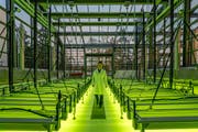 Das «Algentechnikum» sieht aus wie ein riesengrosses Gewächshaus und befindet sich auf dem Ludwig-Bökow-Campus in Ottobrunn bei München. (Bild: pd)