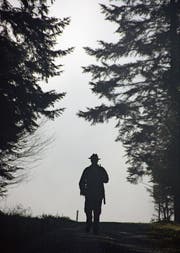Ein Jäger unterwegs im Wald. (Bild: Leserbild: Werner Hüsler, Neudorf (5. Dezember 2015))
