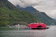 Die Seerose (hier an der Dampferparade anfangs Mai) öffnet bald ihre Blüten für die breite Öffentlichkeit. (Bild: Pius Amrein / Neue LZ)