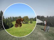 Der Panoramawanderweg von Oberwald über Fritzenfluh bis Ahorn im Napfgebiet soll mit interaktiven Stationen und Themenrastplätzen zu einem Mammut-Trail ausgebaut werden. (Bild: Visualisierung pronatour GmbH Leobendorf)