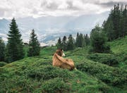 Auch das Entlebuch gehört zu den Landschaften von nationaler Bedeutung. (Bild: Christian Beutler/Keystone)