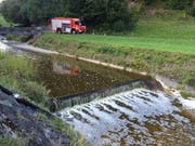 Ein Seitenbach, der in die Fontanne einmündet, war mit Gülle verschmutzt. (Bild Feuerwehr Wolhusen)