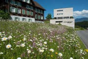 Naturflächen im Siedlungsgebiet bieten hochwertige Lebensräume für die Tier- und Pflanzenwelt. (Bild: pd)