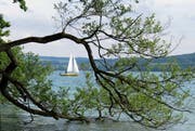 Segeln ja, aber Kitesurfen nein: Auf dem Hallwilersee bleibt das Kitesurfen verboten. (Bild: Leserbild Ruth Schönenberger)