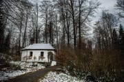 Fast 50 grosse Buchen werden aus Sicherheitsgründen bei der Wesemlinwald-Kapelle gefällt. (Bild: Boris Bürgisser (Luzern, 20. März 2018))