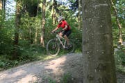 Mountainbiker beanspruchen Waldwege besonders stark. (Bild:Christian Beutler/Keystone)