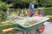 Die Zahl der arbeitstätigen Flüchtlinge in der Schweiz ist tief. Im Bild: Flüchtlinge kümmern sich auf dem Friedhof Bois-de-Vaux in Lausanne um die Grabpflege. (Bild: Keystone)