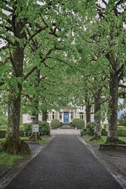 Von der St.-Niklausen-Strasse führt eine Allee zur Villa Krämerstein. (Bild: Nadia Schärli (Horw, 1. Mai 2017))