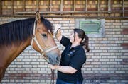 Heilen mit alternativen Methoden: Die ausgebildete Tierkinesiologin Melanie Buchmeier behandelt Lamberto mittels einer Farbtherapie. (Bild: Manuela Jans-Koch / Neue LZ)