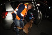 Im Einsatz war ein Polizeihund. (Bild: Zuger Polizei)