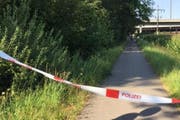 Hier, unweit der Reussbrücke, soll die 26-jährige Frau vergewaltigt worden sein. (Bild Luzerner Polizei)