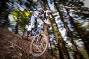 In Obwalden soll das Biken im Wald auf Waldstrassen und -wege sowie spezielle Pisten beschränkt werden. (Bild: Roger Grütter / neue LZ)