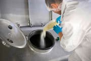 Streit um die Einfuhr von Milchkonzentrat: Ein Mitarbeiter der Hochdorf-Gruppe überprüft die Konsistenz von Milchpulver. (Bild: Keystone/Gaetan Bally)