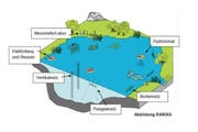 Die Grafik zeigt, an welchen Stellen der Zugersee untersucht wird. (Bild: EAWAG)