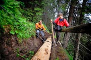 Andreas Abegg (links) und Lars Durrer sanieren die Holzbrücke beim Ettlismatt-Chäswäg in Alpnach. (Bild Corinne Glanzmann)