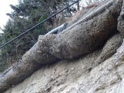 Die Schutznetze sind voll mit Geröll. An der Rigi droht akute Steinschlaggefahr. (Bild: PD (Goldau, 22. Februar 2017))