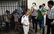Homosexuelle werden in Ägypten seit Jahren verfolgt. (Bild: Hassan Ammar/AP (Kairo, 1. November 2014))