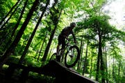 Ein Biker unterwegs im Wald. (Bild: Keystone)