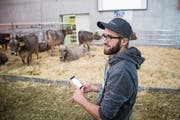 Bauer Markus Knüsel zeigt an der Suisse Tier, wie er seine Herde per Handy überwacht. (Bild: Manuela Jans-Koch (Luzern, 24. November 2017))