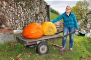 Petra Waser mit ihren Gewinner-Kürbissen. Bild: Matthias Piazza (Beckenried, 14. Oktober 2016)