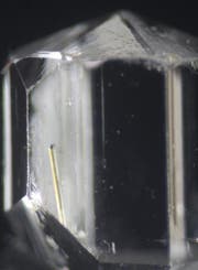 Eine feine Nadel im Kristall – das entdeckte Mineral Perettiite. (Bild: PD)