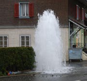 Die Kollision mit dem Hydrant verursachte einen Wasserschaden. (Bild: Luzerner Polizei)