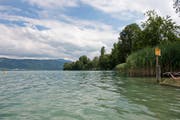 Zugersee von der Hünenberg Badi aus. Fotografiert am 13. Juli 2017 in Hünenberg. Zuger Zeitung/Maria Schmid See, Wasserqualität, Wasser, Schweiz (Bild: Maria Schmid)