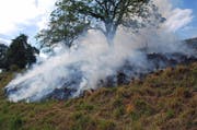 Eine Wiese in Uffikon fing Feuer. (Bild: Luzerner Polizei)