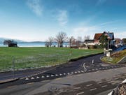 Die Oeschwiese mit ihrem Boots- und Badehaus (links), im Hintergrund das Strandbad. (Bild: Stefan Kaiser (1. Dezember 2017))