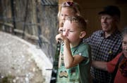Vielleicht etwas weniger, aber offensichtilch nicht minder interessierte Besucher beobachten hier im Mai 2014 die Wildkatzen im Natur- und Tierpark in Goldau. (Bild: Manuela Jans / Neue LZ)