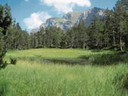 Der Pilatussee, wie er sich im Sommer präsentiert: Hier soll sich die Natur künftig frei entwickeln. (Bild: Adrian von Moos/Kanton Luzern)