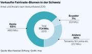 Bild: Grafik mop