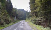 Die Meggerstrasse zwischen Adligenswil und Meggen. (Bild: Google Maps)